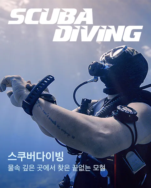 /programs/scuberdiving