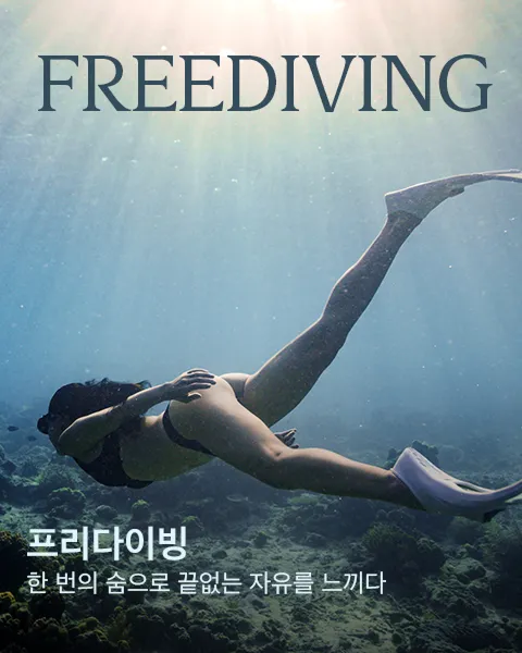 /programs/freediving
