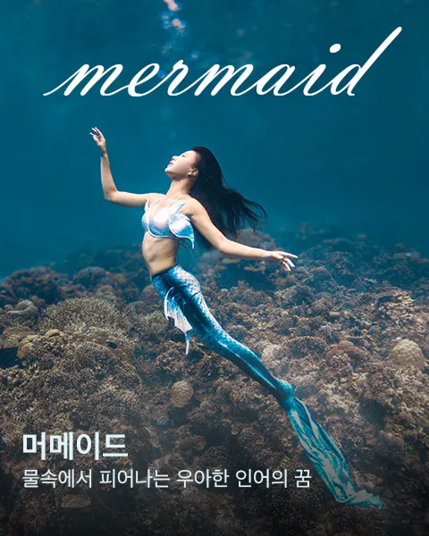/programs/mermaid