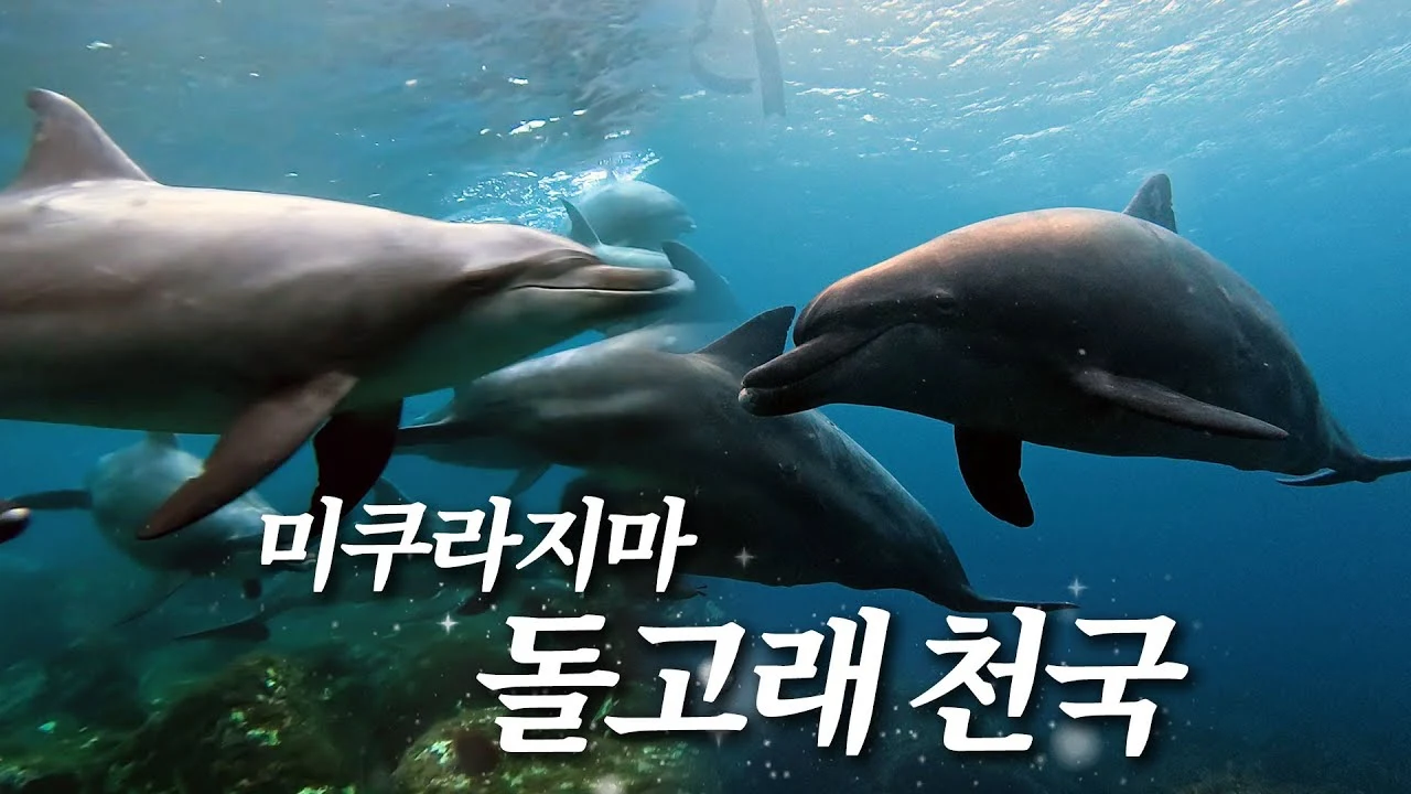 /story/youtube_3.webp